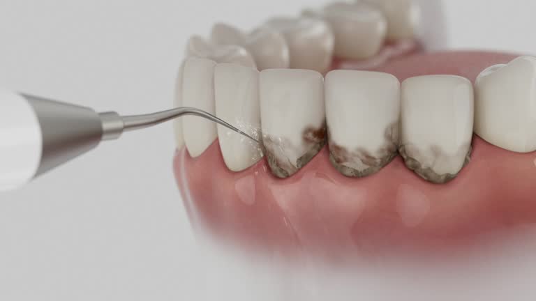 Reliable Dental contractor in Connellsville, PA by Dentist Open Now